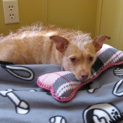 Pink Plaid Fleece Dog Bone Shaped Pillow with Crochet Trim, Made in USA